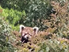 -苏州太湖西山岛开心农场
