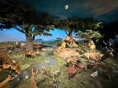 -国家自然博物馆