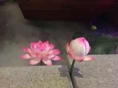 -碧露轩·大益茶体验馆(镇江路店)