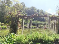 -深圳仙湖植物园