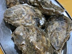 -蚝专家(北滘店)