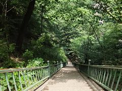 -洛阳白云山景区