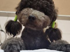 -益友堂盲人推拿正骨穴位按摩工作室