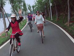 -湖南东洞庭湖国家级自然保护区