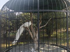 -养云安缦·廊