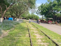 -永定河休闲森林公园