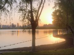 -天鹅湖体育公园