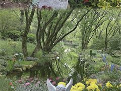 -上海共青森林公园