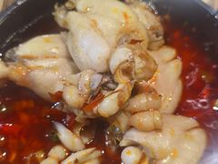 美蛙-销魂美蛙鱼头火锅(上海首店)