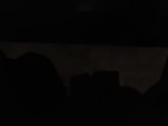 -萍香大厨·葱烧大鱼头(解放北路店)