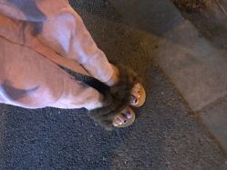 足部美甲-LEILEI NAIL蕾蕾美甲美睫