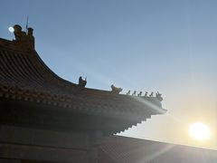 -天津自然博物馆