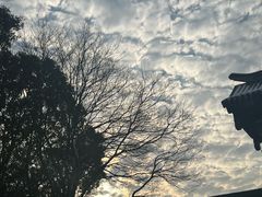 -杜甫江阁