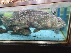 -渔民新村(番禺总店)