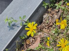 -剪刀石头布家居广场