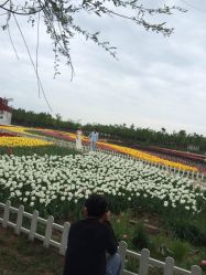 点击看大图 -唯一视觉婚纱摄影(李家村店)
