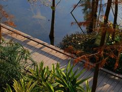 -云溪植物园
