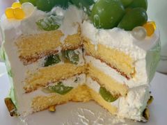 -维尔纳斯·生日蛋糕·动物奶油冰淇淋蛋糕(六里桥店)