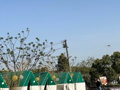 -暮谷MUGO ·团建聚会·露营烧烤·生日派对·共享菜地