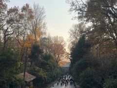 -灵谷景区
