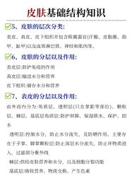 点击看大图 -玛莲朵·海菲秀冰珀科