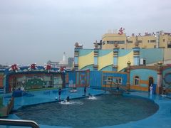 -海合安青岛极地海洋公园