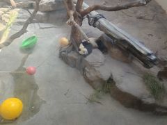 -宁波野生动物园