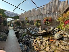 -龙大花卉苗木市场