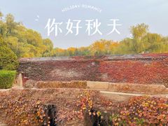 -颐和园