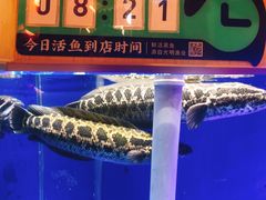 -望蓉城·古法酸菜鱼(世纪汇店)