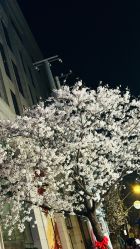 -罗斯福公馆·宴会厅