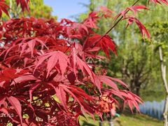 -奉浦四季生态园