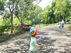 -东湖落雁景区
