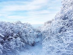 -终南山国家森林公园