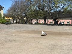-芬兰堡