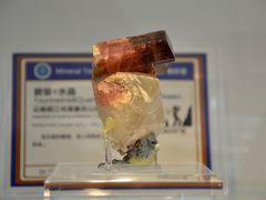 -中国地质大学逸夫博物馆