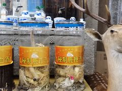 -乔家满族八大碗(流水沟店)