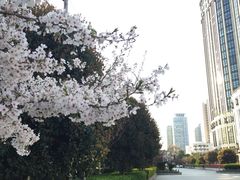 -光启城时尚购物中心