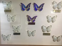 -上海昆虫博物馆