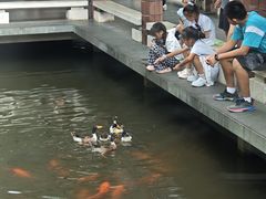 -浙江省博物馆(孤山馆区)