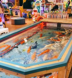 点击看大图 -卡通尼·Safari非洲探索乐园·生日会(金桥国际商业广场店)