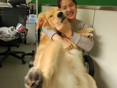-佩兹宠物医院肿瘤专科·眼科·牙科(黄浦店)