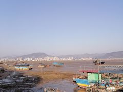 -北岐滩涂