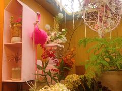 -蝶舍·MAISON PAPILLON