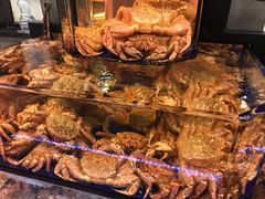 -蟹道乐(道顿堀本店)