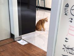 -荔康动物医院(康王北路店)