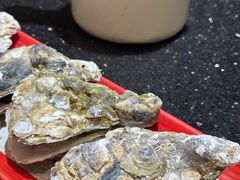 -daozao料理美术馆(东营店)