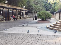 -九龙公园