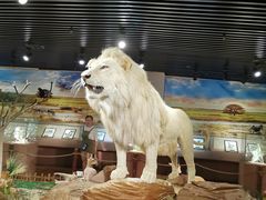 -陕西自然博物馆