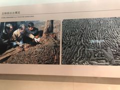 -南昌市博物馆